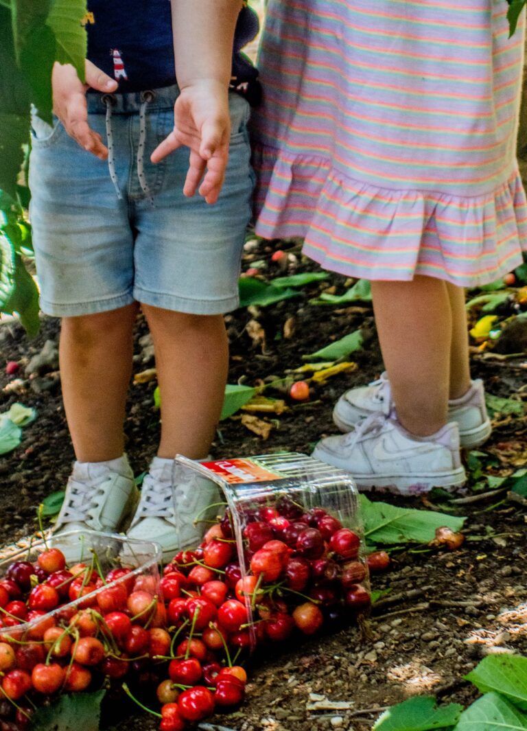 103294911_3043697209040761_8275260106551759170_o