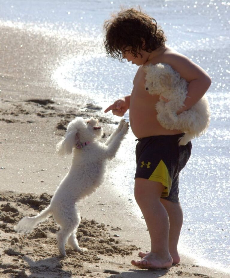 118307365_3265637930180020_5031000125876187445_o