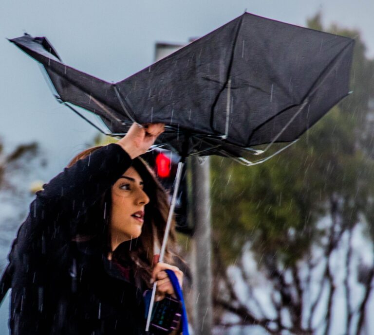 86289634_2767430530000765_1189479424416808960_o