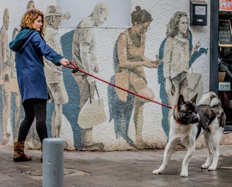 89768882_2834620873281730_1997247371318132736_o