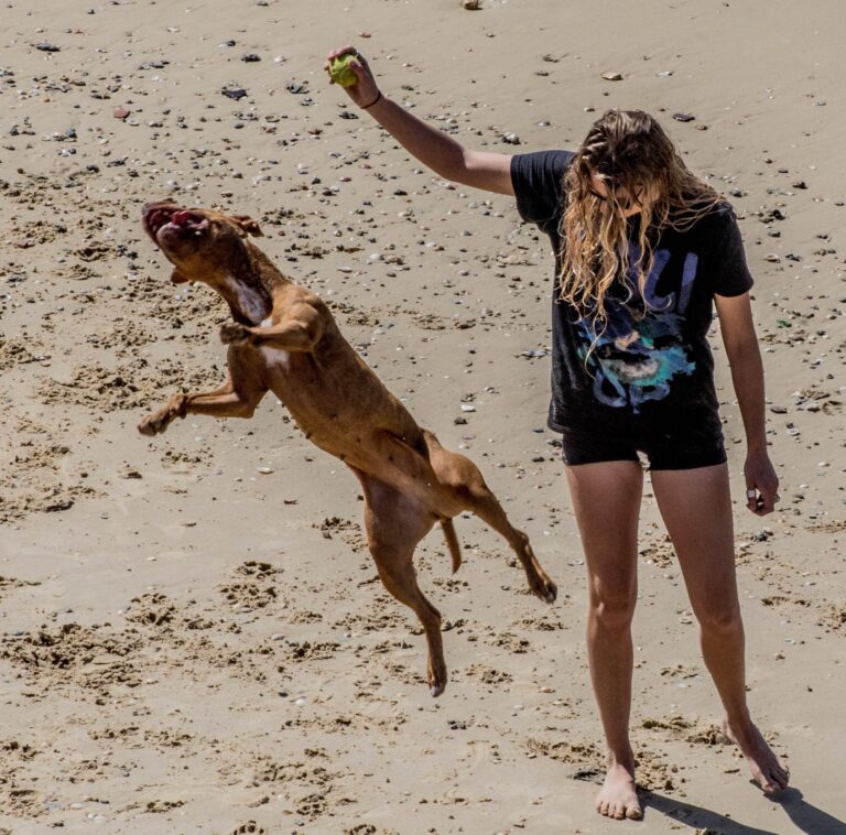 91649676_2883104061766744_8027702671211233280_o