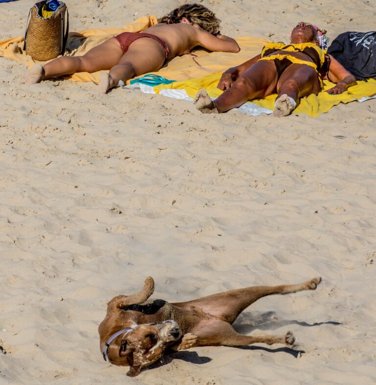 98048930_2997530596990756_454041617293115392_o